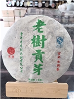 老樹(shù)貢芽